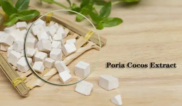 Poria Cocos Extract.jpg